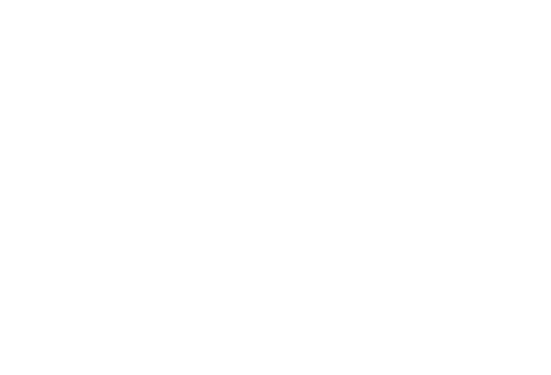 Old Japanese House